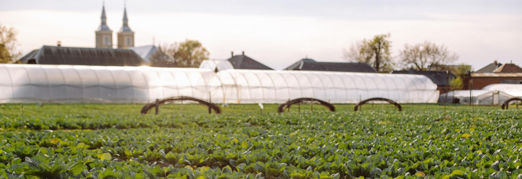 Wsparcie Klienta dzięki pracy tymczasowej